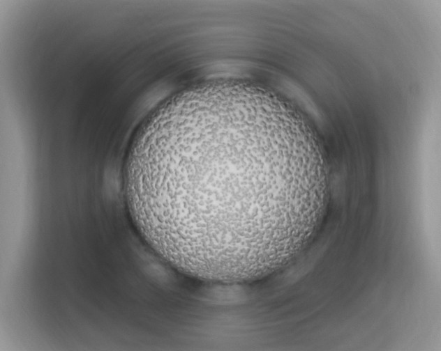 X0000114000882200910091401