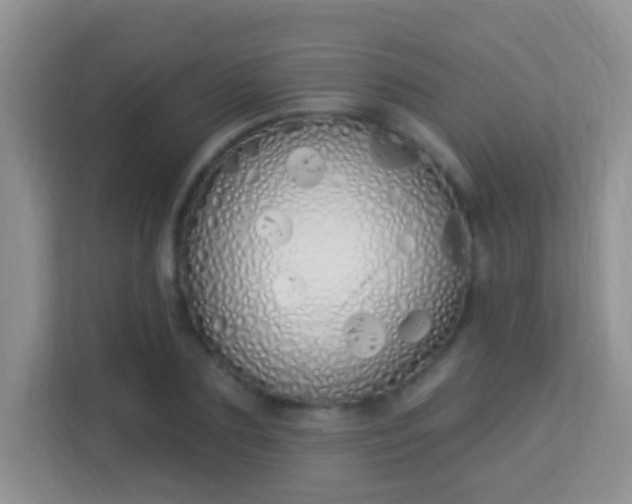 X0000114000883200910091401