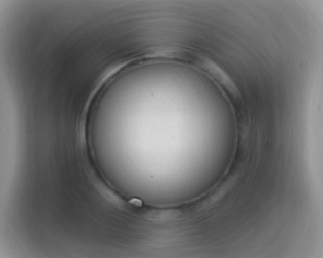 X0000114000884200910091401