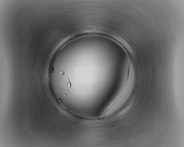 X0000114000885200910091401