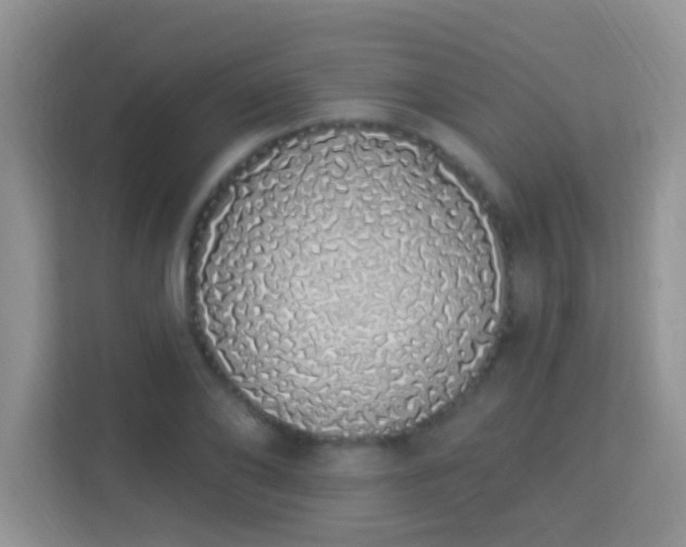 X0000114000886200910091401