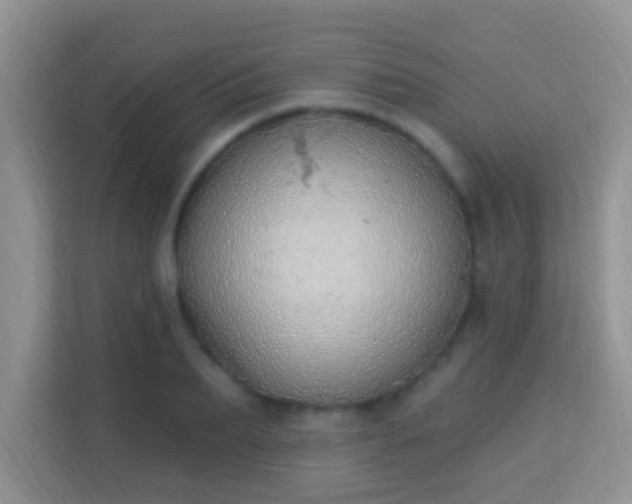 X0000114000887200910091401