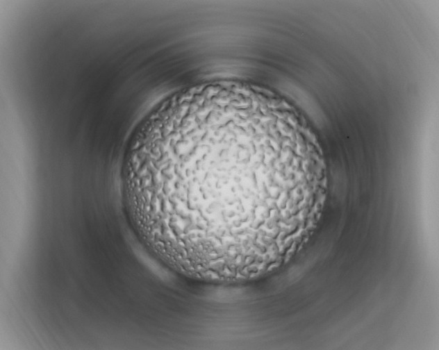 X0000114000890200910091400