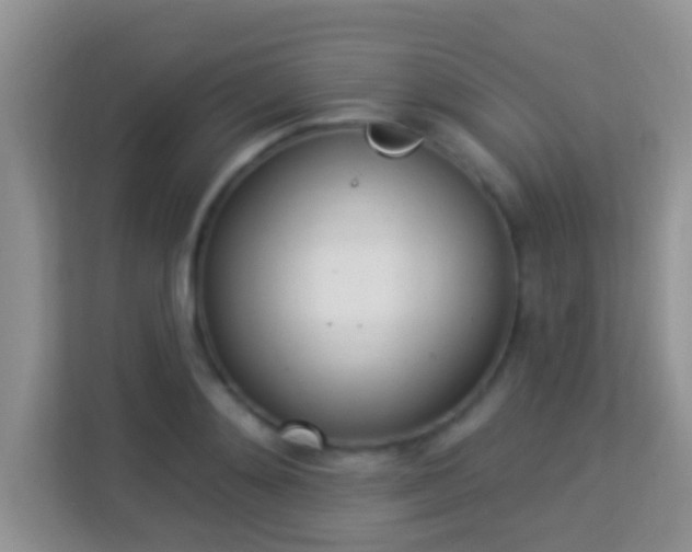 X0000114000892200910091400