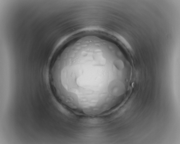 X0000114000895200910091400
