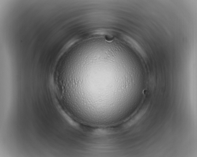 X0000114000898200910091400