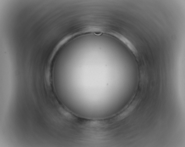 X0000114000904200910091400