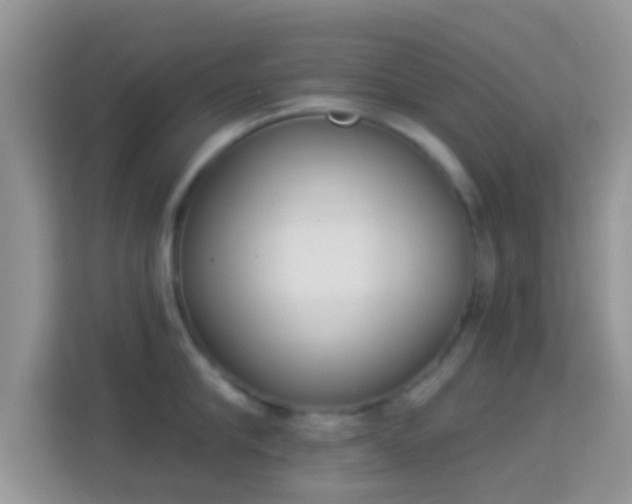 X0000114000910200910091400