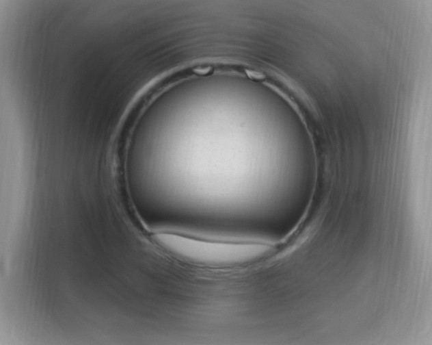 X0000114000926200910091400