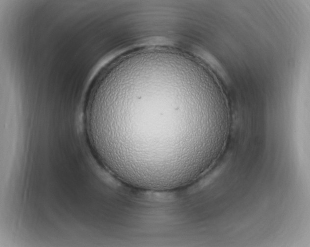X0000114000928200910091400