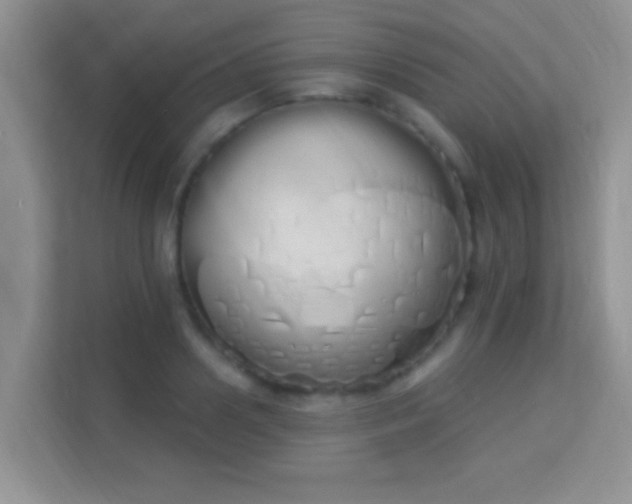 X0000114000938200910091400