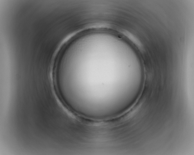 X0000114000943200910091400