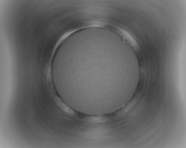 X0000114000948200910091400