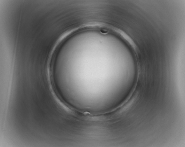 X0000114000951200910091400
