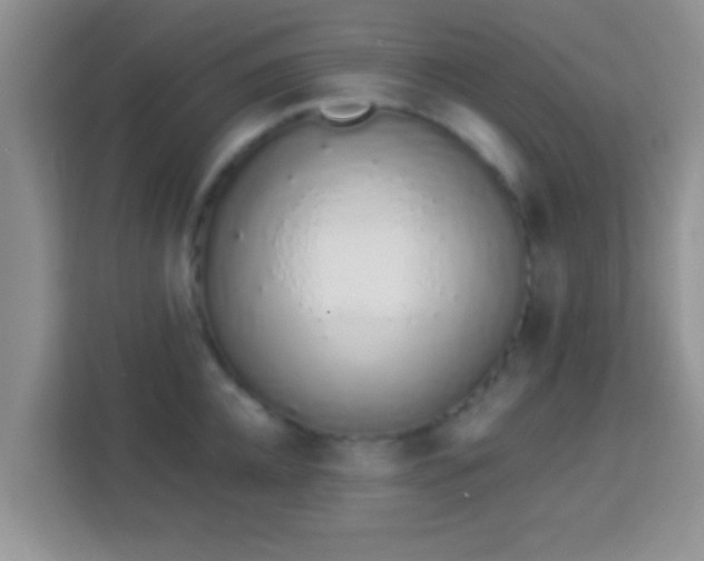 X0000114000952200910091400