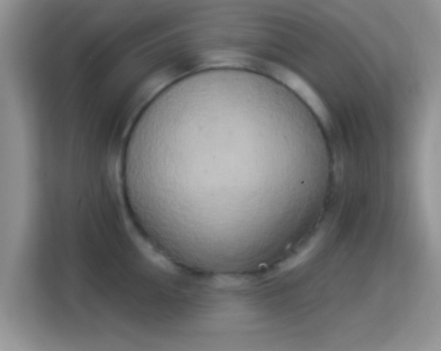 X0000114000954200910091400