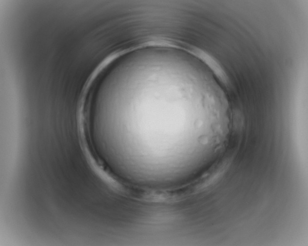 X0000114000955200910091400