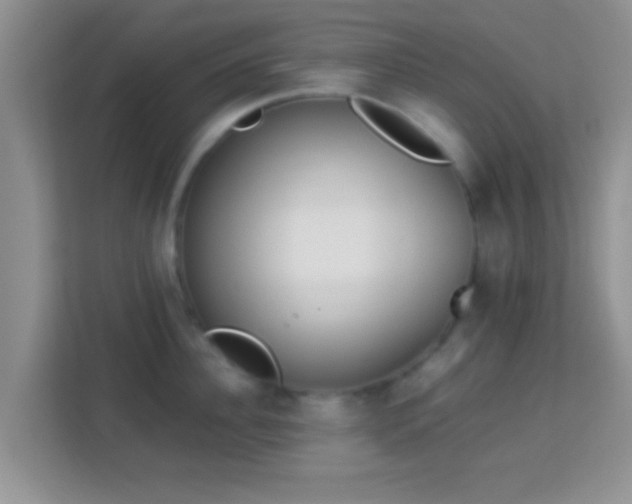 X0000114000956200910091400
