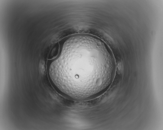 X0000114000963200910091359