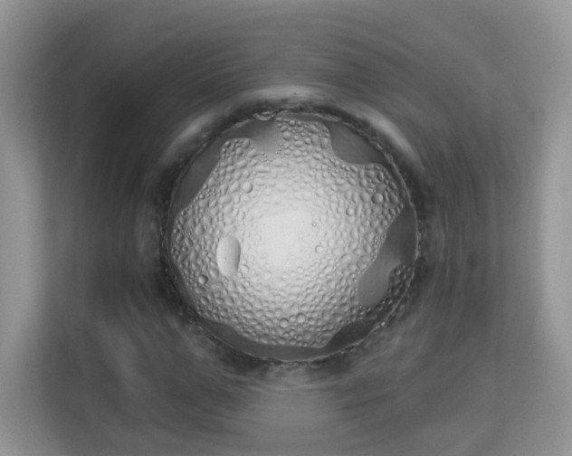 X0000114000967200910091359