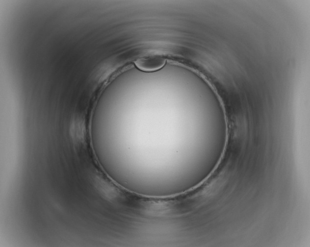 X0000114000969200910091359