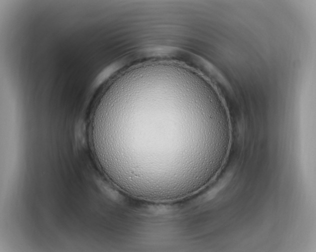 X0000114000970200910091359