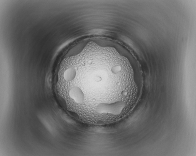X0000114000971200910091359