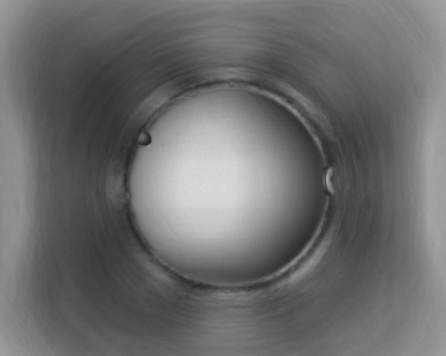 X0000114000977200910091359