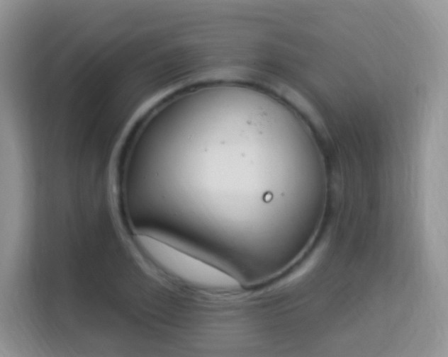X0000114000981200910091359