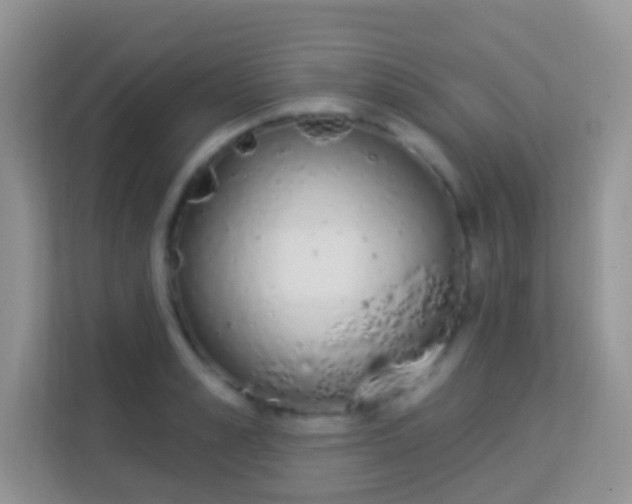 X0000114000989200910091359