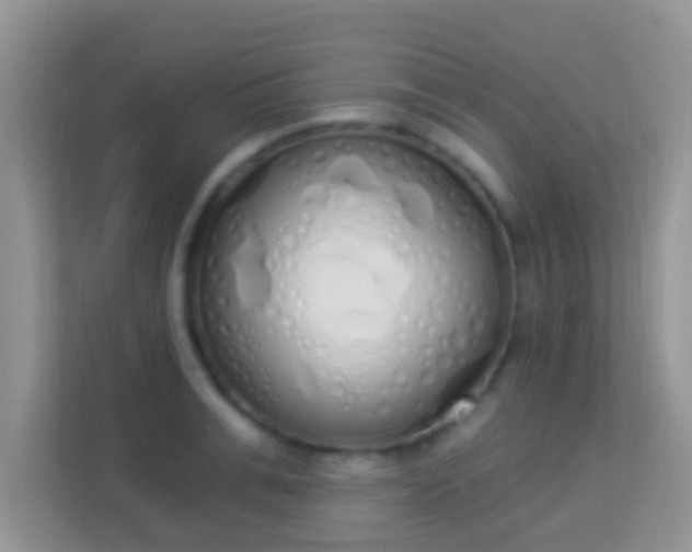 X0000114000991200910091359