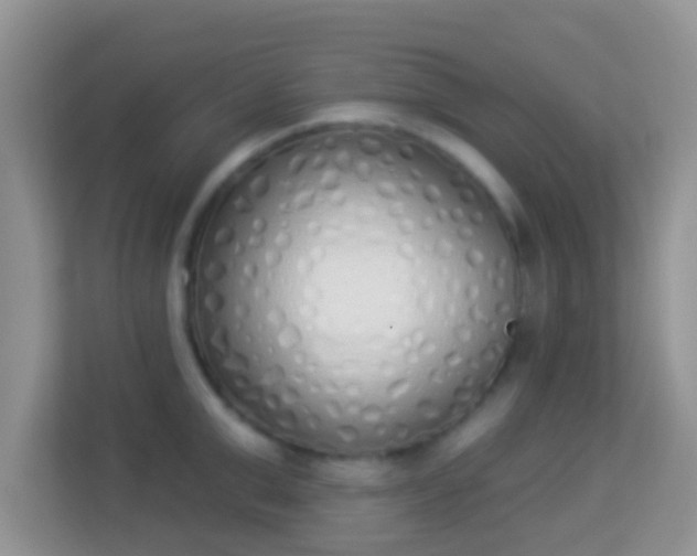 X0000114000999200910091359