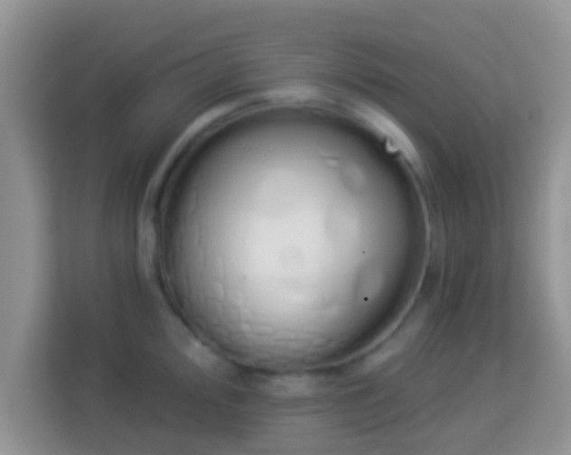 X0000114001000200910091359