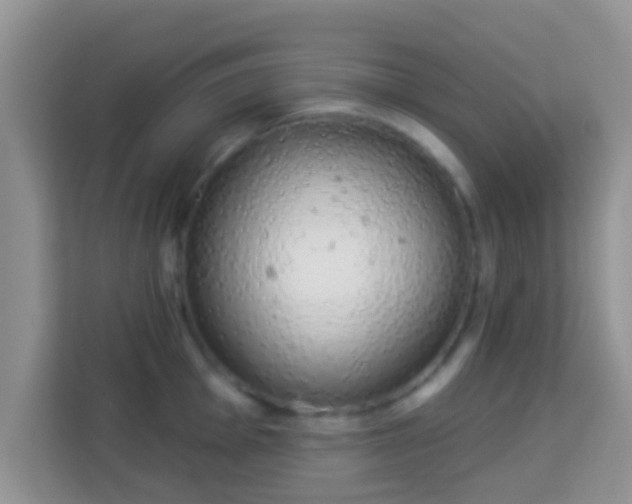 X0000114001001200910091359