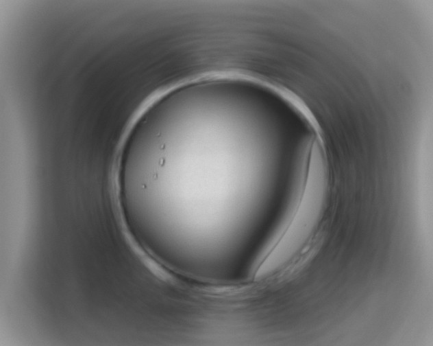 X0000114001005200910091359
