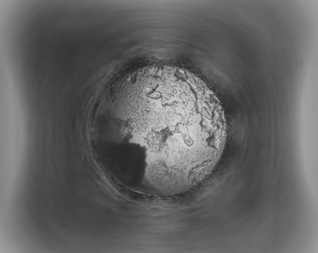 X0000114001009200910091358