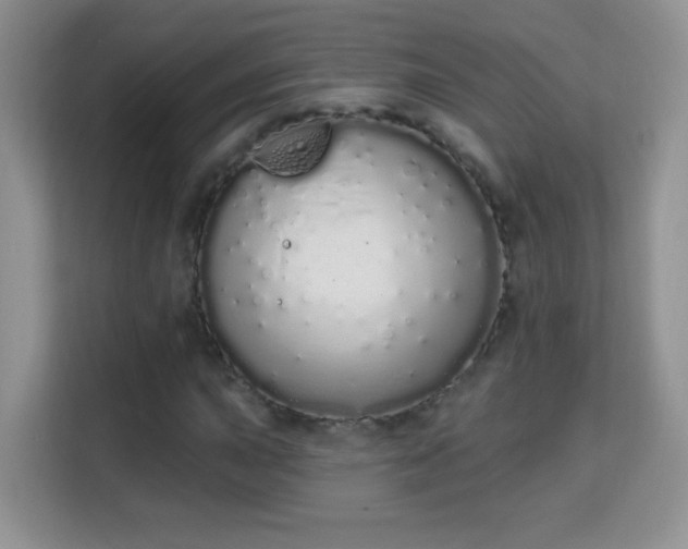 X0000114001015200910091358
