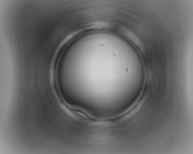 X0000114001037200910091358