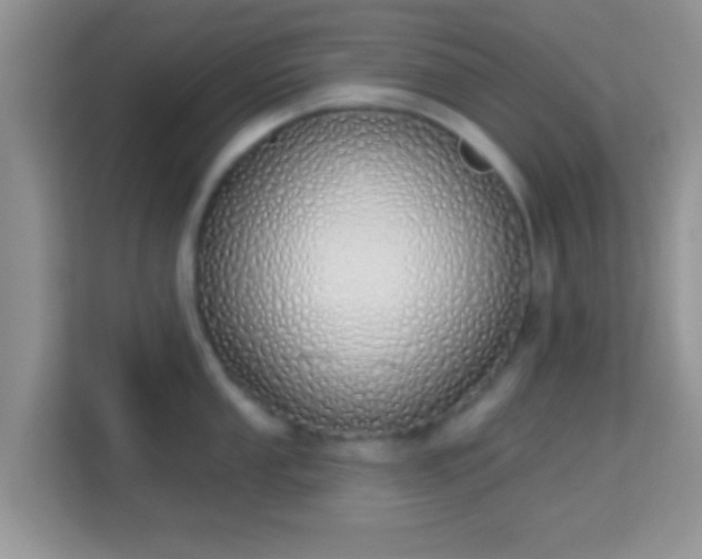 X0000114001053200910091359