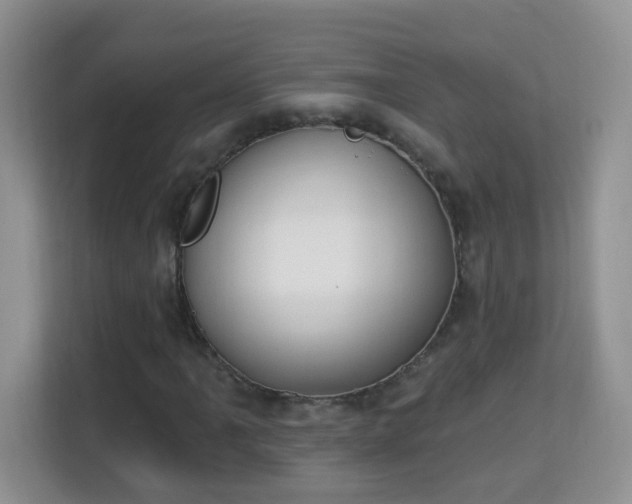 X0000114001061200910091358