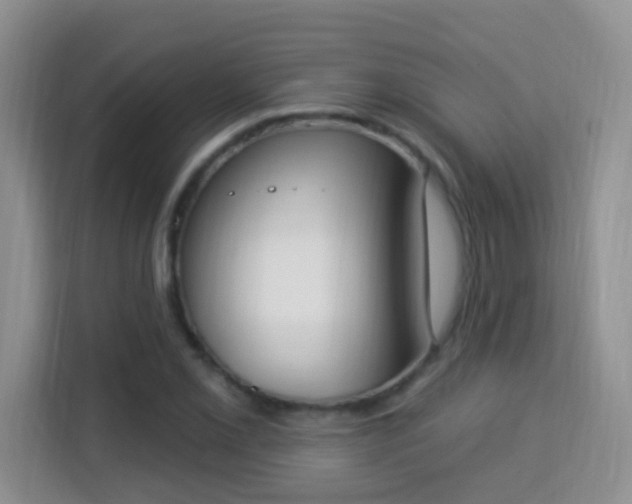X0000114001069200910091358