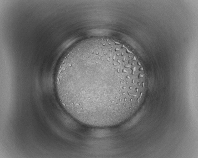X0000114001074200910091358