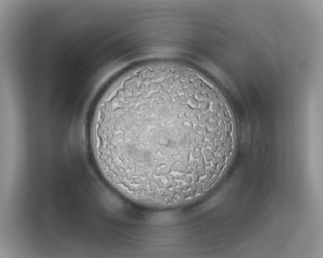 X0000114001078200910091358