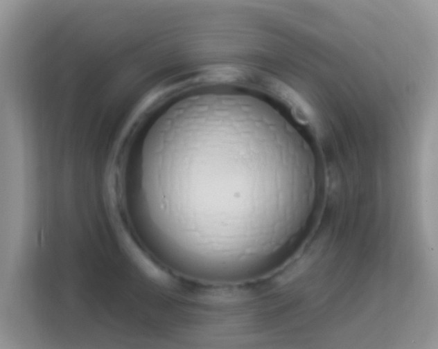 X0000114001091200910091358