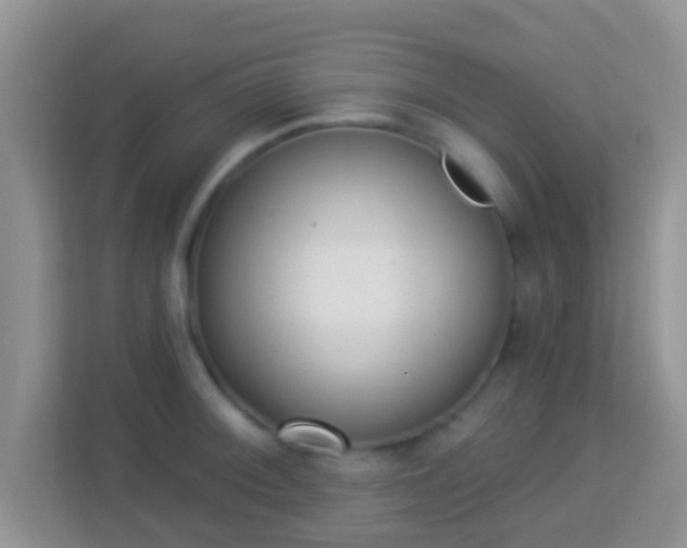 X0000114001092200910091358