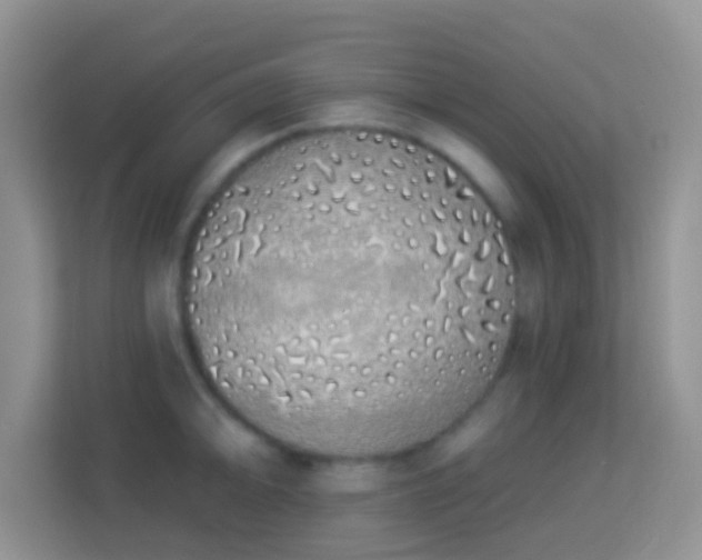 X0000114001094200910091358