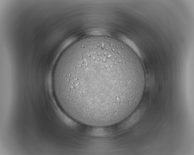 X0000114001098200910091358