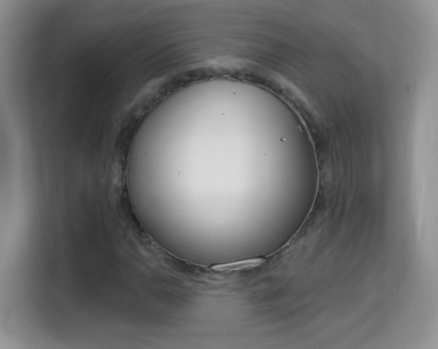 X0000114001110200910091357