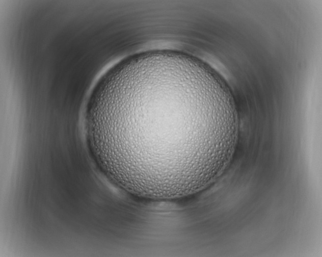 X0000114001119200910091357