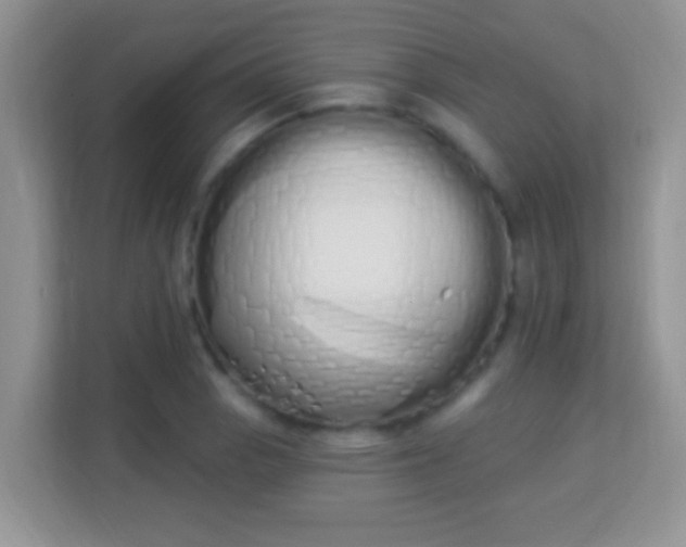 X0000114001129200910091357